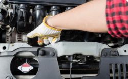 Mechanics hand, doing DPF cleaning